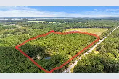 1451 Bears Bluff Road, Wadmalaw Island, SC 29487 - Photo 4