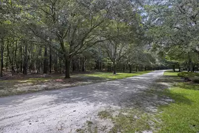 1451 Bears Bluff Road, Wadmalaw Island, SC 29487 - Photo 20