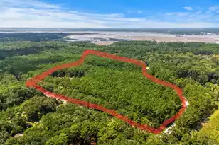1451 Bears Bluff Rd, Wadmalaw Island, SC 29487 - Photo 1