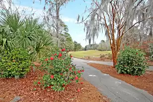 14 Brigadoon Pl, Charleston, SC 29414 - Photo 70