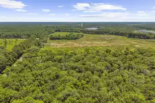 237 Oglethorpe Cir, Moncks Corner, SC 29461 - Photo 54