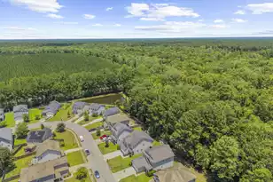237 Oglethorpe Cir, Moncks Corner, SC 29461 - Photo 48
