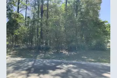 0 Ash Hill Drive, Eutawville, SC 29048 - Photo 2