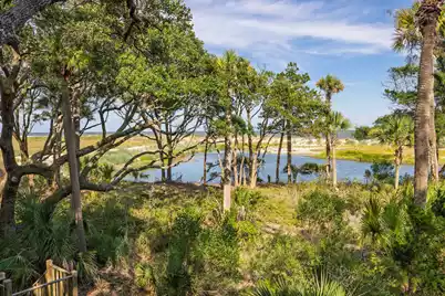 411 Pelican Flight Drive, Dewees Island, SC 29451 - Photo 68