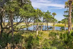 411 Pelican Flight Dr, Dewees Island, SC 29451 - Photo 68