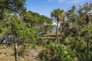 411 Pelican Flight Dr, Dewees Island, SC 29451 - Photo 4