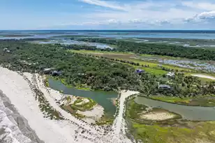 411 Pelican Flight Dr, Dewees Island, SC 29451 - Photo 74