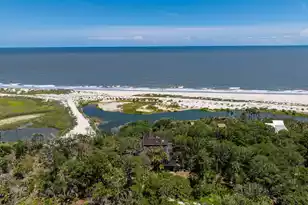 411 Pelican Flight Dr, Dewees Island, SC 29451 - Photo 74