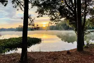 196 Sea Oats St, Summerville, SC 29485 - Photo 2
