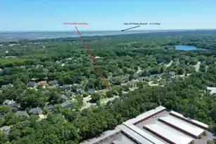 3286 Heathland Way, Mount Pleasant, SC 29466 - Photo 56