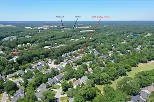 3286 Heathland Way, Mount Pleasant, SC 29466 - Photo 54