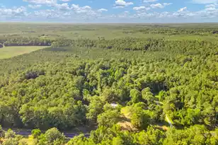 1236 Spring Hill Church Rd, Ridgeville, SC 29472 - Photo 42