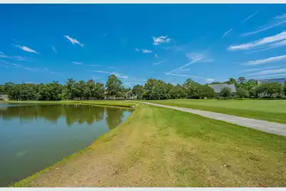 197 Silver Cypress Circle, Summerville, SC 29485 - Photo 64