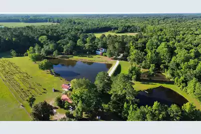 701 Truluck Vineyard Road, Lake City, SC 29560 - Photo 2