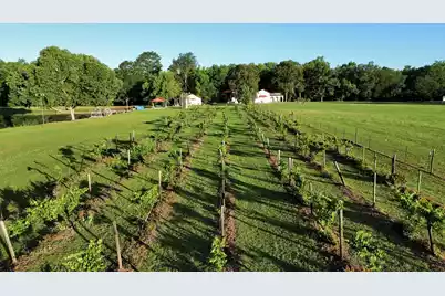 701 Truluck Vineyard Road, Lake City, SC 29560 - Photo 46