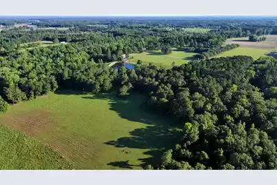 701 Truluck Vineyard Road, Lake City, SC 29560 - Photo 8