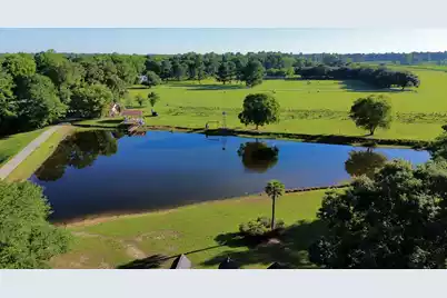701 Truluck Vineyard Road, Lake City, SC 29560 - Photo 64