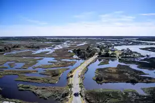 549 Towles Crossing Dr, Johns Island, SC 29455 - Photo 1