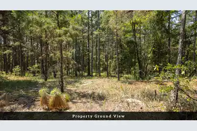 2 Broken Arrow Road, Eutawville, SC 29048 - Photo 38