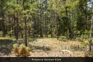2 Broken Arrow Rd, Eutawville, SC 29048 - Photo 38