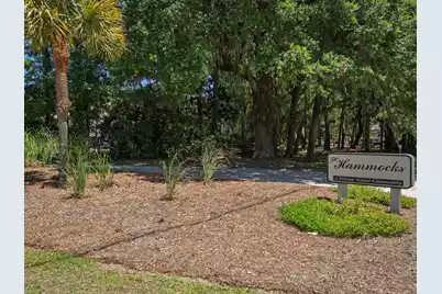 941 Hammocks Way, Edisto Island, SC 29438 - Photo 2