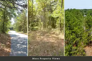 4 Broken Arrow Rd, Eutawville, SC 29048 - Photo 44
