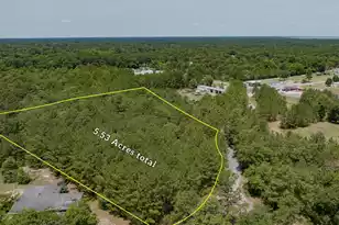1 Broken Arrow Rd, Eutawville, SC 29048 - Photo 8