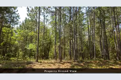 02 Broken Arrow Road, Eutawville, SC 29048 - Photo 12