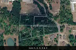 3 Broken Arrow Rd, Eutawville, SC 29048 - Photo 1