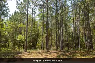 3 Broken Arrow Rd, Eutawville, SC 29048 - Photo 12