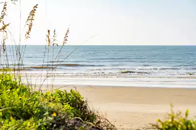 6 29th Avenue, Isle Of Palms, SC 29451 - Photo 68