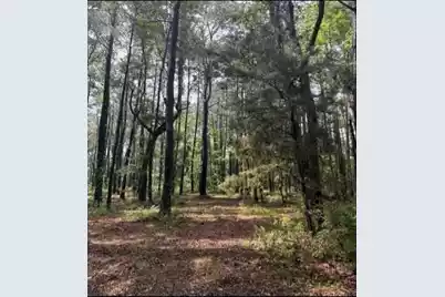 7477 Highway 17 N, Awendaw, SC 29429 - Photo 4