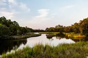 1145 Sound Dr, Johns Island, SC 29455 - Photo 1