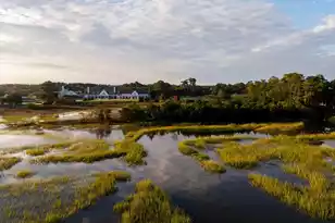 274 Furman Farm Pl, Daniel Island, SC 29492 - Photo 106