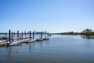 600 Waterman St #732, Charleston, SC 29492 - Photo 62
