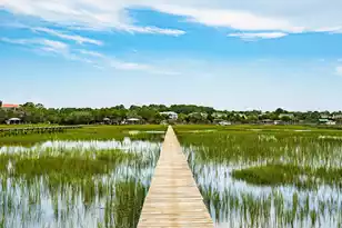 2809 Parkers Landing Rd, Mount Pleasant, SC 29466 - Photo 66