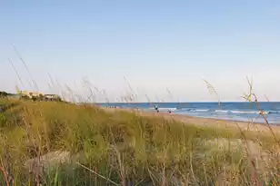 19 Grand Pavilion Blvd, Isle Of Palms, SC 29451 - Photo 72