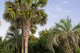 19 Grand Pavilion Blvd, Isle Of Palms, SC 29451 - Photo 74