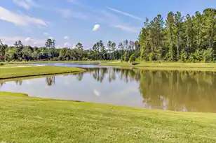 428 Watergrass Wy, Summerville, SC 29485 - Photo 56