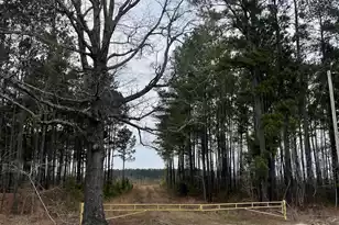 Tbd Rocky Ford Rd, Salters, SC 29590 - Photo 1