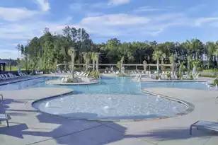 117 Pocket Bend Cir, Summerville, SC 29486 - Photo 44