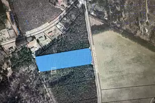 Tbd Slablanding Road Rd, Cope, SC 29038 - Photo 1
