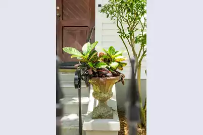 41 Pitt Street, Charleston, SC 29401 - Photo 108