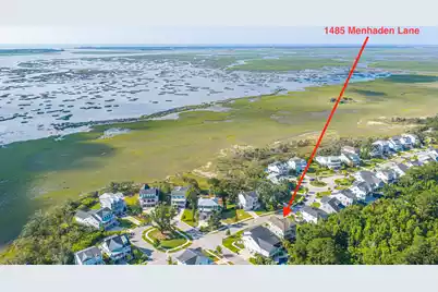 1485 Menhaden Lane, Mount Pleasant, SC 29466 - Photo 42