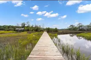 804 Kings Oak Ct, Charleston, SC 29492 - Photo 46
