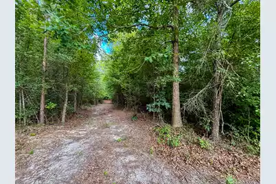 0 Henry Road, Hemingway, SC 29554 - Photo 4
