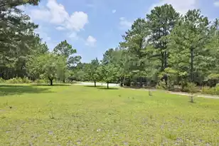 194 Brass Lantern Ln, Elloree, SC 29047 - Photo 38
