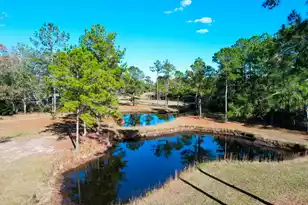 6615 Old Jacksonboro Rd, Ravenel, SC 29470 - Photo 54