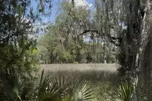 93 Ashley Hall Plantation Rd, Charleston, SC 29407 - Photo 2