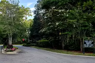 3491 Toomer Kiln Cir, Mount Pleasant, SC 29466 - Photo 32
